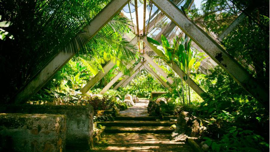 Se conmemora el 50 Aniversario del Jardín Botánico Nacional de Cuba. Homenaje al Profesor Doctor Johannes Bisse de la Universidad de Jena 