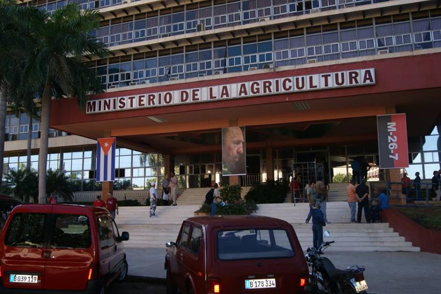 Resolución 27/2024 Del reglamento actualizado para la importación de plantas