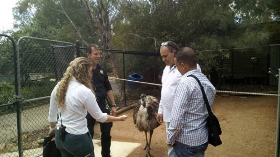 Zoo