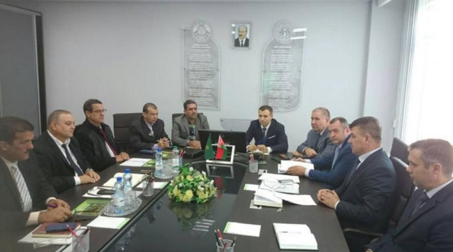 Delegación de Cuba estudia la experiencia belarusa en el sector forestal Delegación de Cuba estudia la experiencia belarusa en el sector forestal