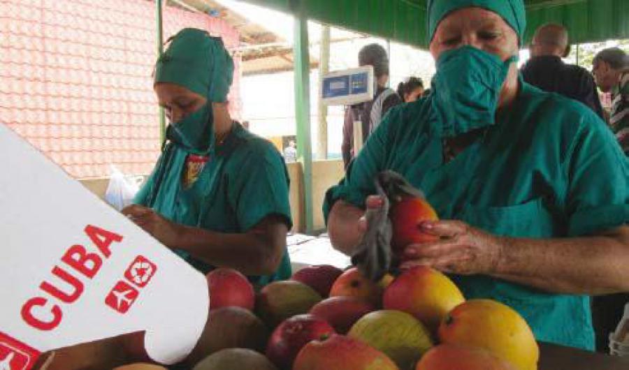 Cuba está comprometida con la protección de los derechos de los trabajadores.