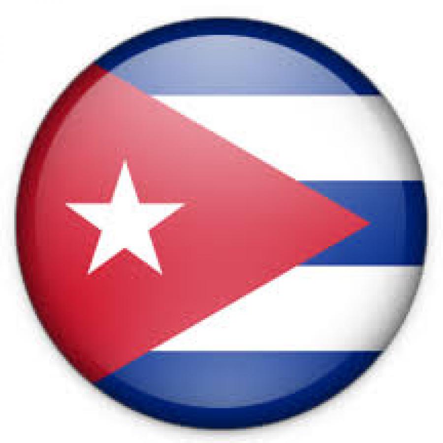 Declaration of the Group of Cubans in Denmark