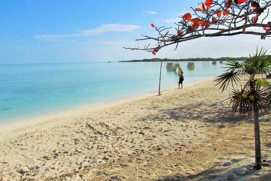 Reabre Cuba sus puertas al turismo internacional