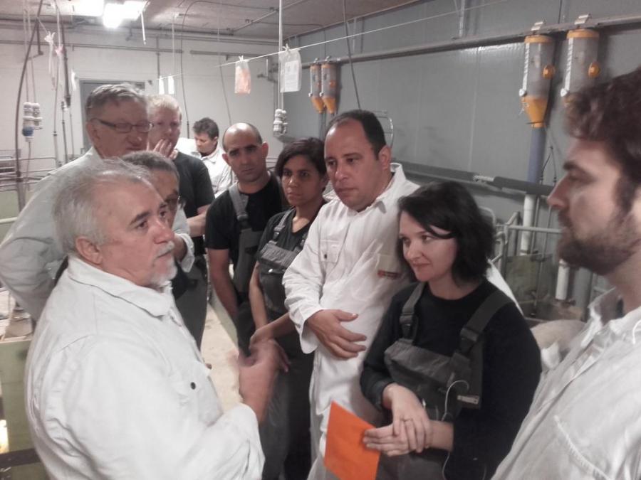 Delegación cubana del Grupo Empresarial Ganadero visita Dinamarca