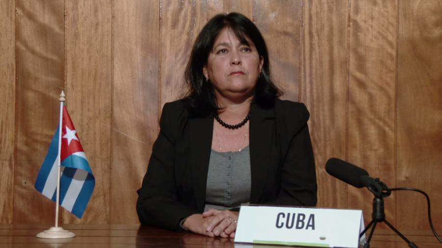 Adianez Taboada Zamora, viceministra CITMA