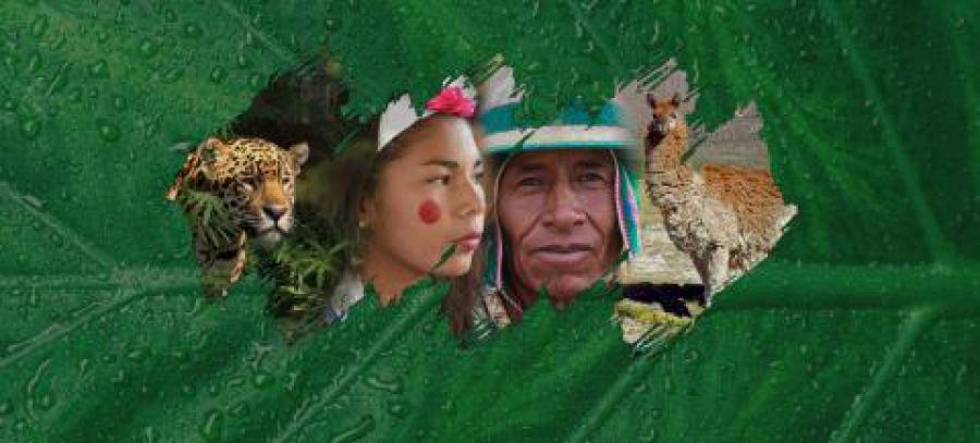 Cuba participates in the event "Reencounter with Mother Earth" convened by the Plurinational State of Bolivia
