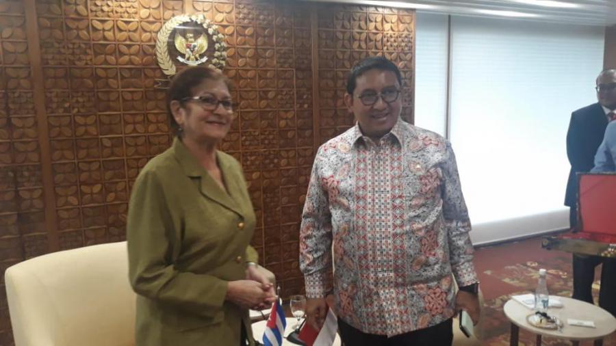 Vicepresidente de la Cámara de Representantes de Indonesia recibe a Embajadora de Cuba