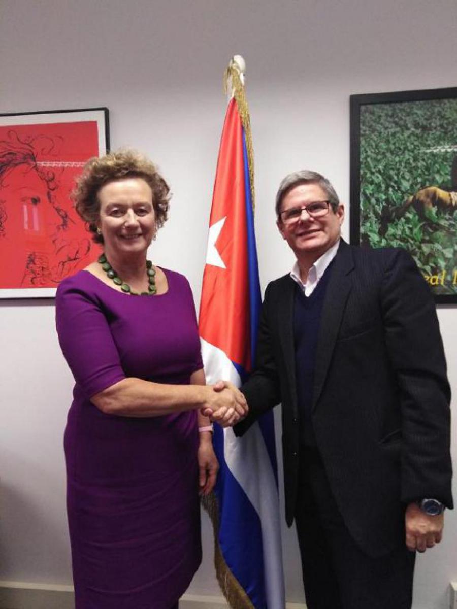 Embajadores de Cuba e Irlanda sostienen fructífera reunión de trabajo.