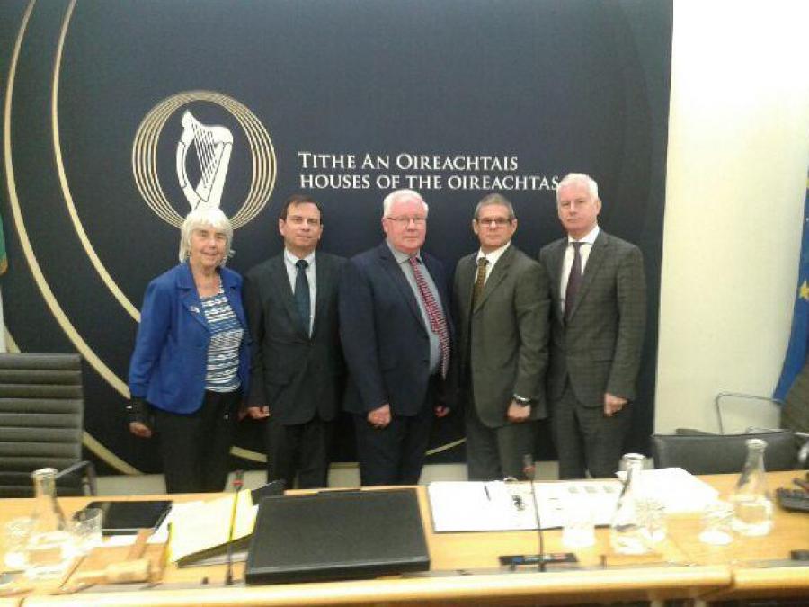 Fernando Gonzalez intervenes before the Committee on Foreign Relations, Trade and Defense of the Irish parliament.