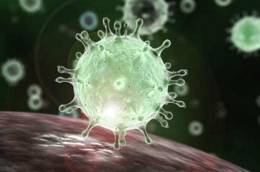 Cero casos de coronavirus en Cuba.