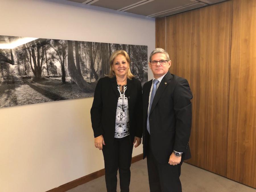 The Cuban Vice Minister of Foreign Affairs arrived in Ireland on a working visit.
