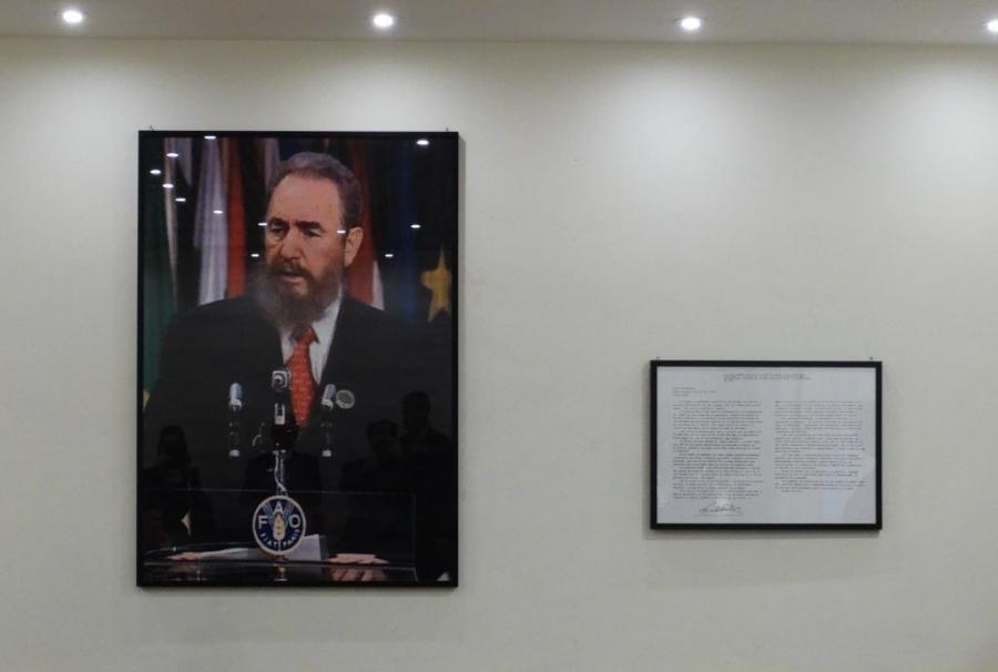 La mirada de Fidel está en la FAO.