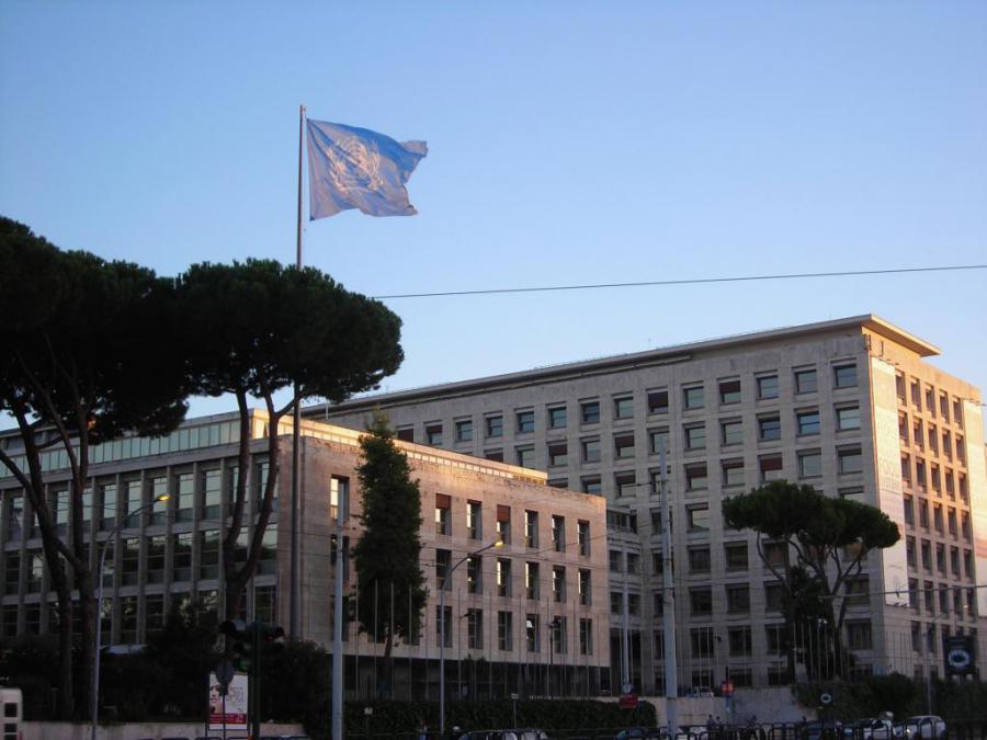 Participa Cuba en sesiones del Consejo de la FAO en Roma.