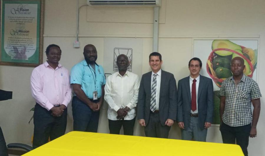 Sostiene Embajador cubano en Jamaica encuentro con Director General de la Autoridad para el Desarrollo Agrícola Rural .