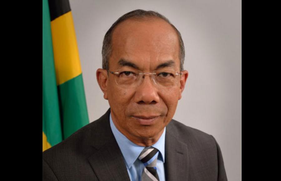 The Honourable Horace Chang, MP, Minister of National Security of Jamaica and General Secretary of the Labour Party of Jamaica (JLP) received the Ambassador of Cuba, H.E Mrs Inés Fors Fernández, in this capital.