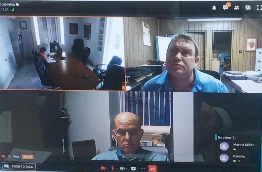 Cámaras de Comercio de Cuba y Jamaica sostienen reunión virtual