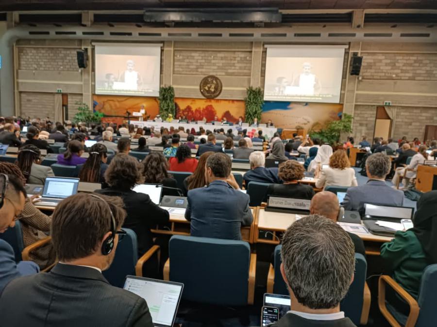Presidente de Somalia recibe las cartas credenciales de nueva Embajadora de Cuba