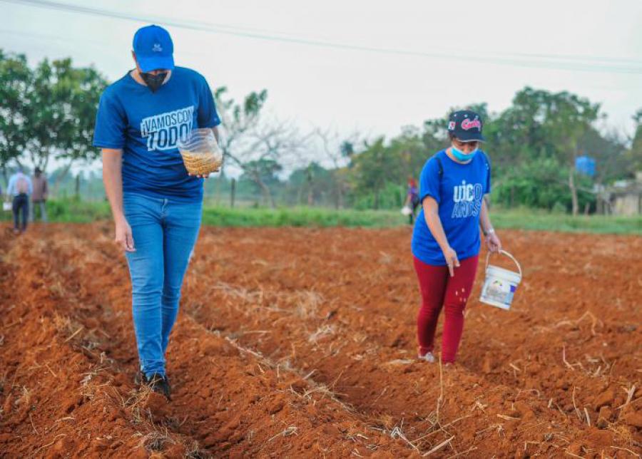 Juventud cubana, en el impostergable salto al porvenir
