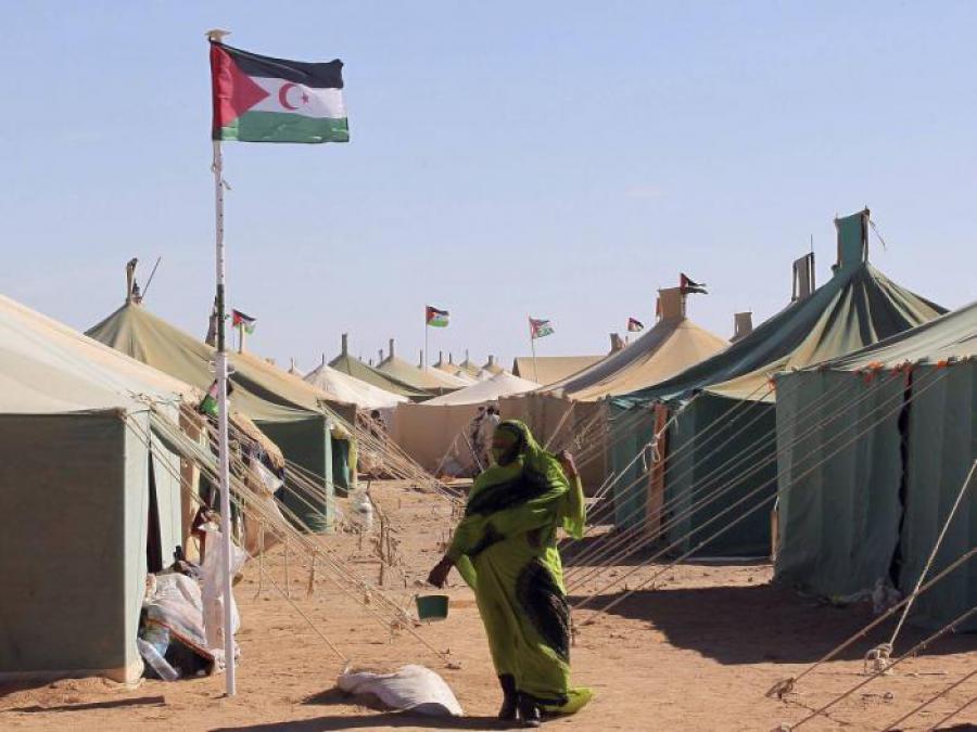The Saharawi people resist and Cuba stands by them