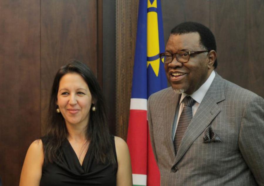Cuban professor holds meeting with President Geingob.