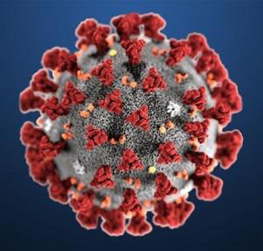 Cuba confirms first three imported cases of new coronavirus Cuba confirms first three imported cases of new coronavirus