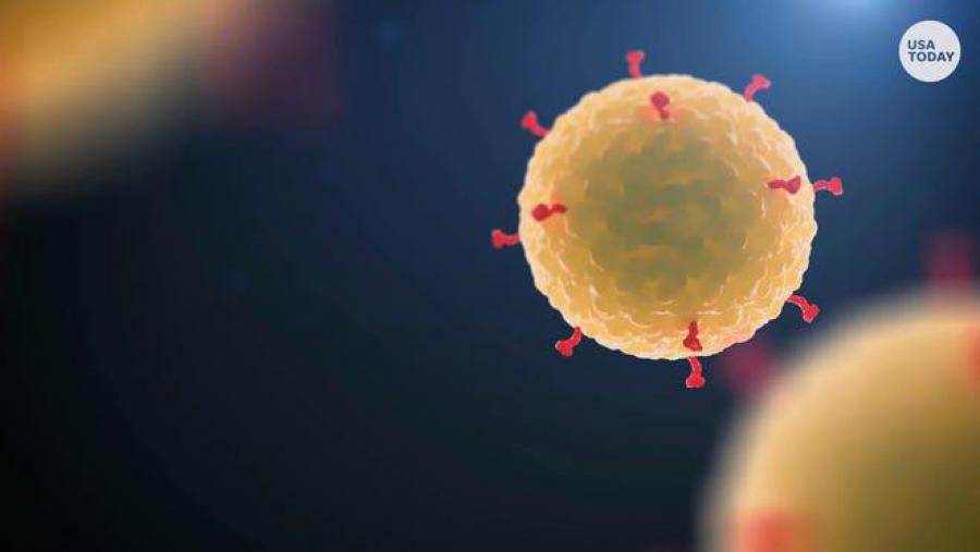 Mientras la Cancillería china sostiene que el Ejército de Estados Unidos podría haber llevado el coronavirus a la ciudad de Wuhan en octubre de 2019, Washington y sus socios de la OTAN rompen las medidas de control y contención de la pandemia y movilizan 37.000 soldados para los ejercicios militares "Defender Europa 20".
