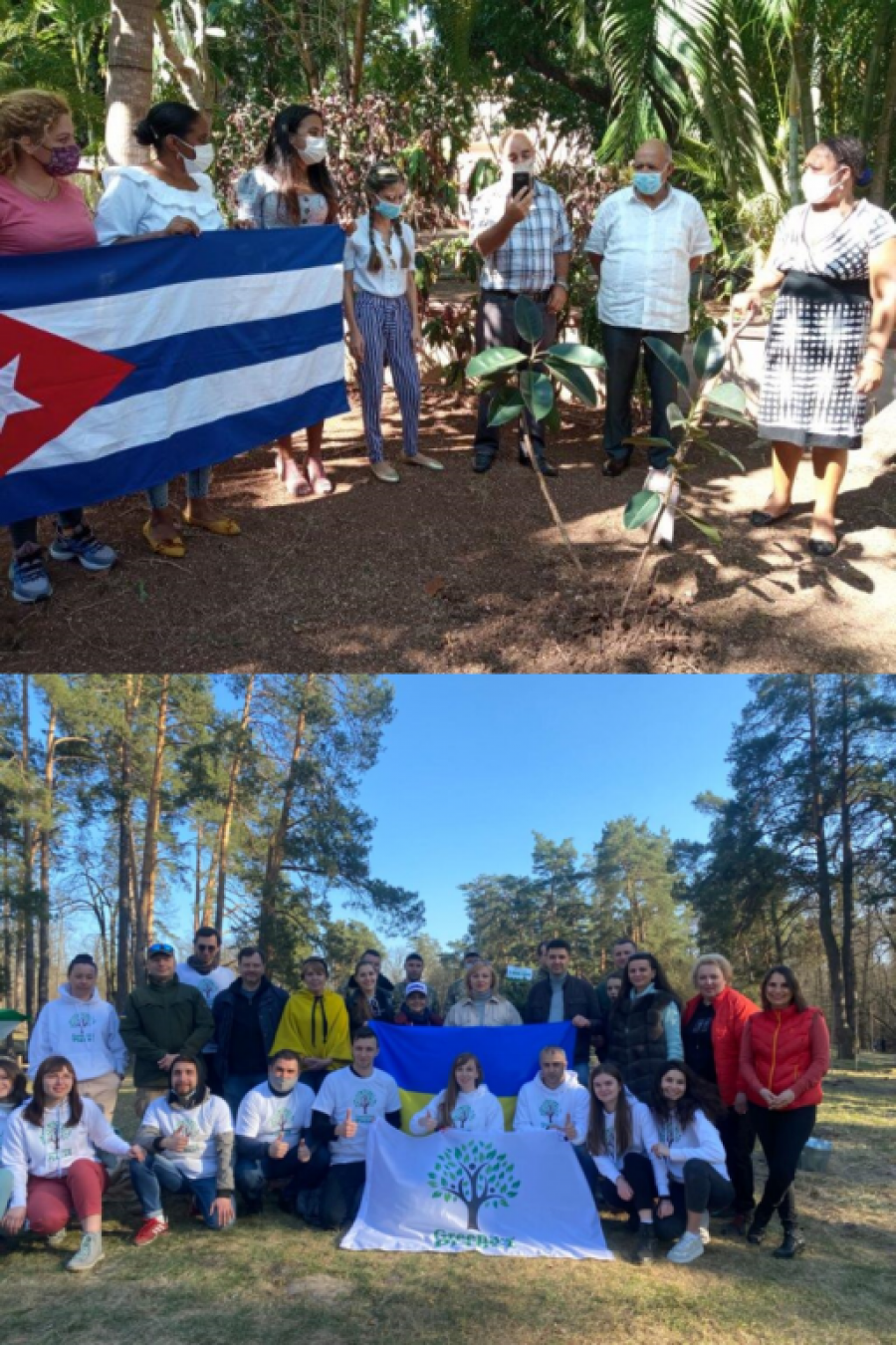 Cuba se une al proyecto “Reverdecimiento de Ucrania”
