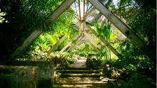 Se conmemora el 50 Aniversario del Jardín Botánico Nacional de Cuba. Homenaje al Profesor Doctor Johannes Bisse de la Universidad de Jena 