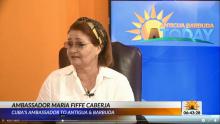 Condena Embajadora de Cuba en Antigua y Barbuda intentos de senadores de EE.UU Unidos por impedir la colaboración de la isla en materia de salud.