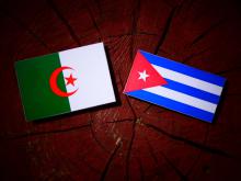 Commission mixte algéro-cubaine : réunion au niveau des experts à Alger du 19 au 21 février