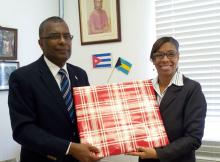 Presidente del principal partido de la oposición de Las Bahamas recibe a embajadora cubana.