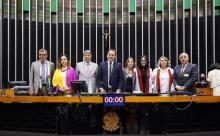 Homenaje de la Cámara de Diputados al pueblo palestino