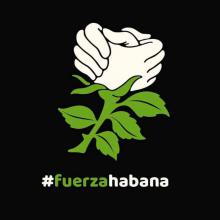 Curarle todas las heridas a La Habana.