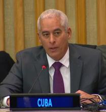 Reelecta Cuba vicepresidente del Comité Especial de Descolonización de ONU.
