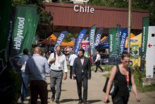 FIHAV 2017