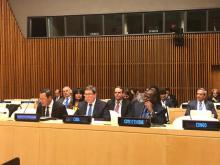 Participa el Ministro de Relaciones Exteriores de Cuba en la Reunión del Buro de Coordinación del MNOAL