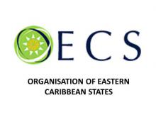 Statement by The Organisation of Eastern Caribbean States on Cuban Medical Brigades Statement by The Organisation of Eastern Caribbean States on Cuban Medical Brigades