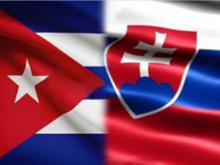 Embajadora de Cuba se encuentra con Presidenta del Comité de Relaciones Exteriores del Parlamento eslovaco.