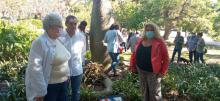 La Asociación Cultural La Avellaneda, de cubanos residentes en el Sur de España, convoca a acto por el 502 Aniversario de La Habana
