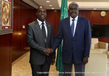 Presidente de la Unión Africana recibe credenciales de Embajador cubano.