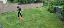 Trabajo voluntario
