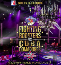 Victoriosos Domadores de Cuba en sala parisina como parte de la semifinal de la VIII Serie Mundial de Boxeo.