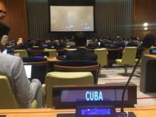 Cuba elected to four United Nations bodies