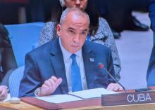 Cuba reafirma en el Consejo de Seguridad su denuncia sostenida contra la agresión de Estados Unidos a Venezuela