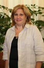 Iniciará Viceministra cubana de Relaciones Exteriores visita de trabajo a Irlanda.