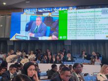 Cuba denuncia en Roma el impacto negativo de las medidas coercitivas unilaterales en la implementación del Convenio sobre la Diversidad Biológica