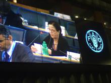 Intervención de la delegación cubana en el 44 periodo de sesiones del Comité de Seguridad Alimentaria 9 al 13 de octubre de 2017, Roma