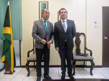Deputy Prime Minister and Minister of National Security of Jamaica receives the Cuban Ambassador