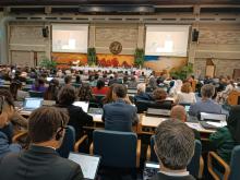 Presidente de Somalia recibe las cartas credenciales de nueva Embajadora de Cuba