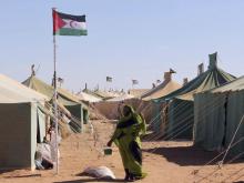 The Saharawi people resist and Cuba stands by them